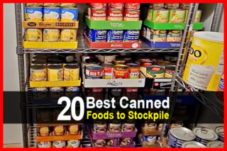 20 Best Canned Foods to Stockpile