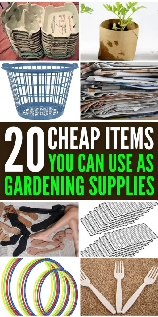 20 Cheap Items You Can Use As Gardening Supplies