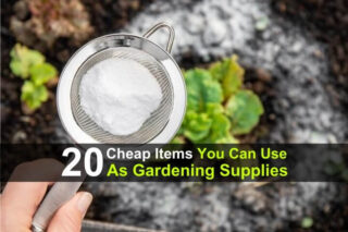 20 Cheap Items You Can Use As Gardening Supplies