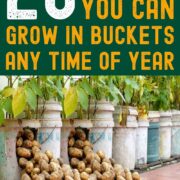 Pinterest Hidden Image