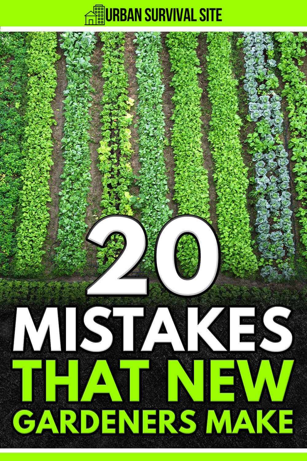 20 Mistakes That New Gardeners Make