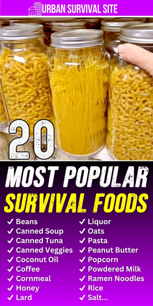 20 Most Popular Survival Foods