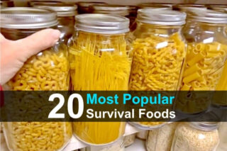 20 Most Popular Survival Foods