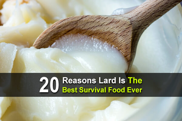 20 Reasons Lard Is The Best Survival Food Ever