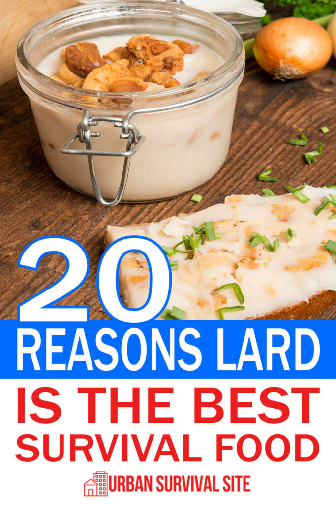 20 Reasons Lard Is The Best Survival Food