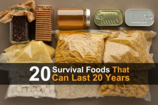 20 Survival Foods That Can Last 20 Years