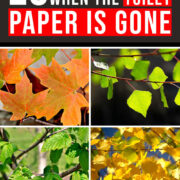 Pinterest Hidden Image