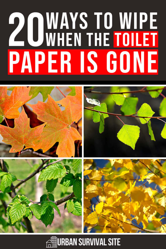 20 Ways to Wipe When the Toilet Paper is Gone