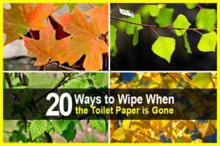 20 Ways to Wipe When the Toilet Paper is Gone