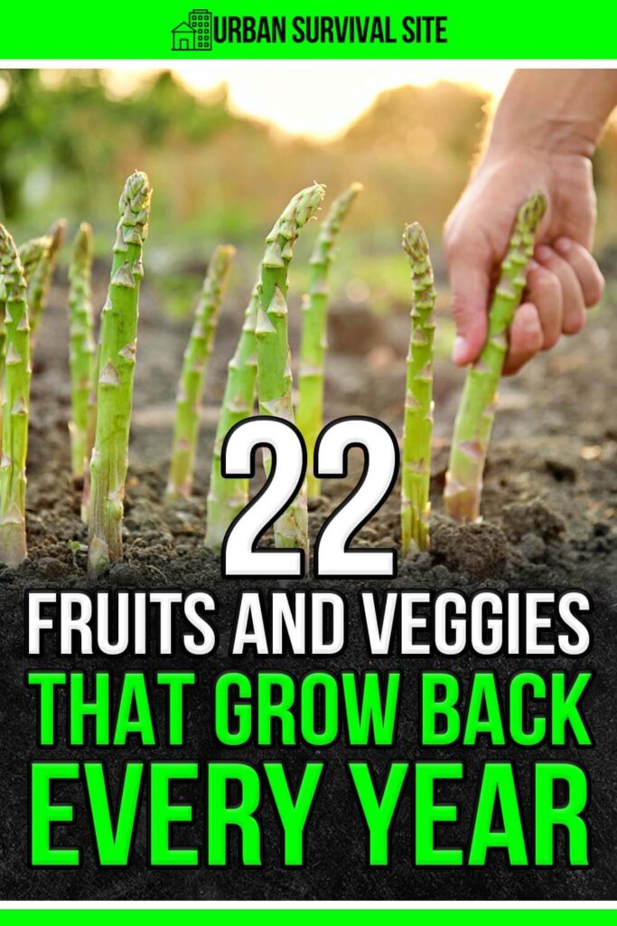 22 Fruits and Veggies that Grow Back Every Year
