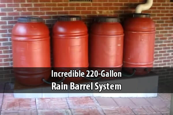 Incredible 220 Gallon Rain Barrel System