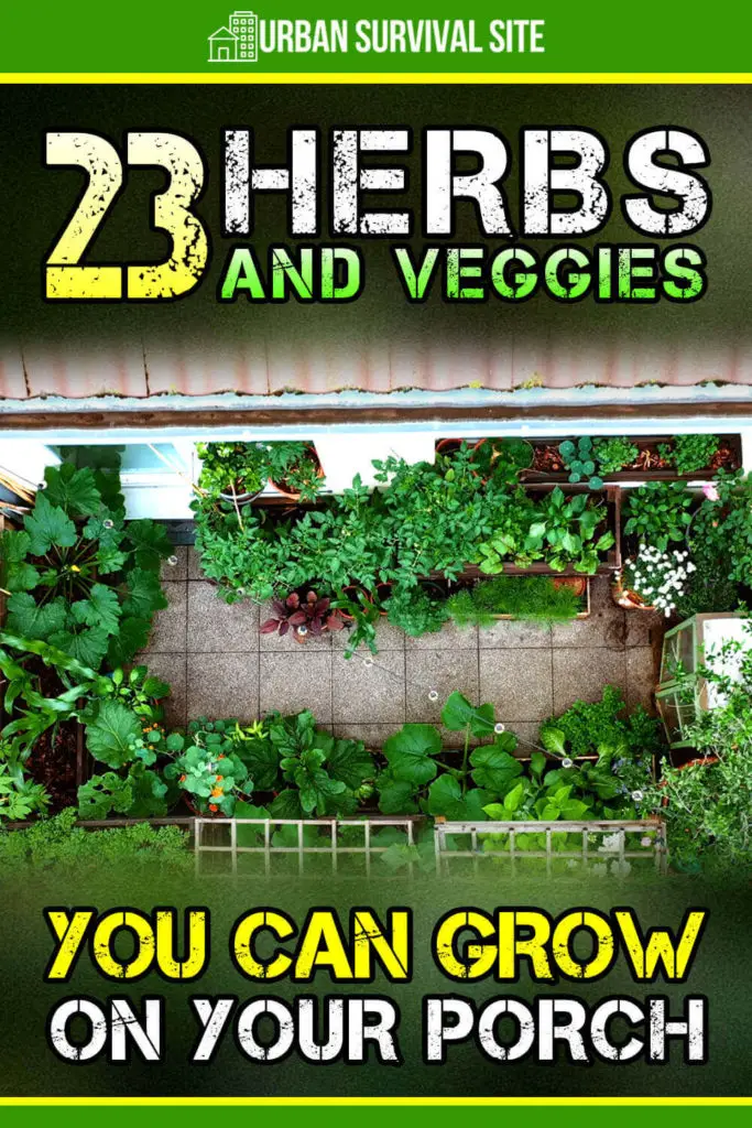 23 Herbs and Veggies You Can Grow on Your Porch
