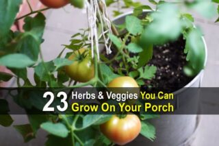 https://urbansurvivalsite.com/herbs-veggies-grow-porch/