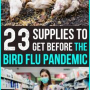 Pinterest Hidden Image