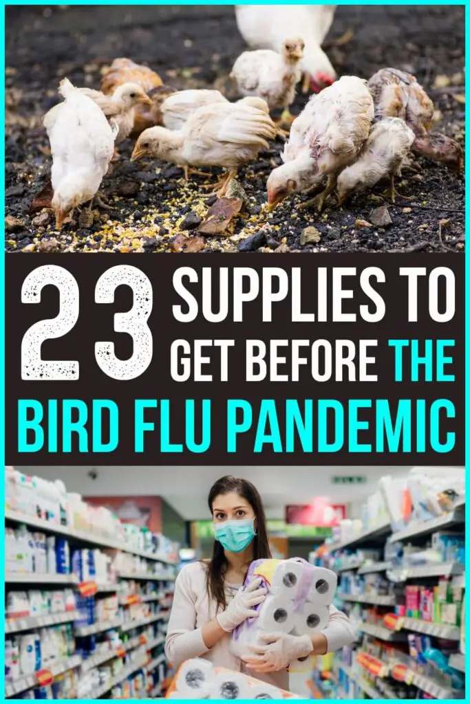 23 Supplies to Get Before the Bird Flu Pandemic