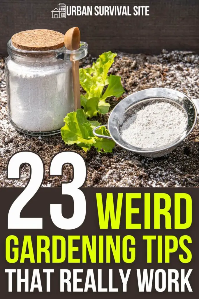 23 Weird Gardening Tips That Really Work