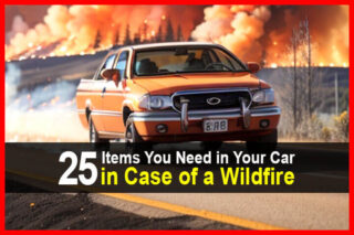 25 Items You Need in Your Car in Case of a Wildfire