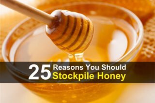 25 Reasons to Stockpile Honey