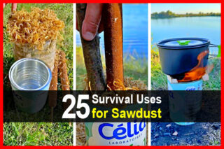 25 Survival Uses for Sawdust