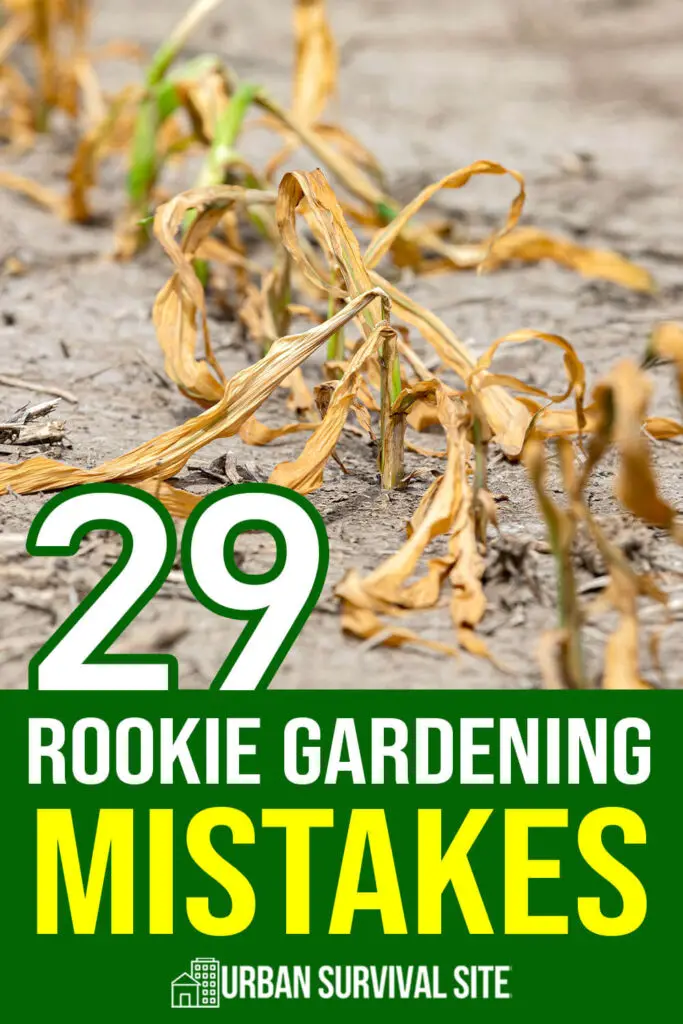 29 Rookie Gardening Mistakes