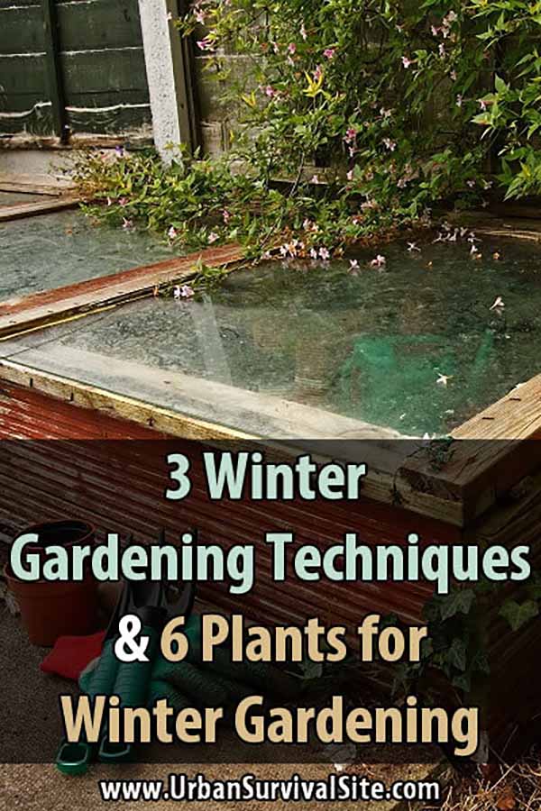 3 Winter Gardening Techniques and 6 Plants for Winter Gardening