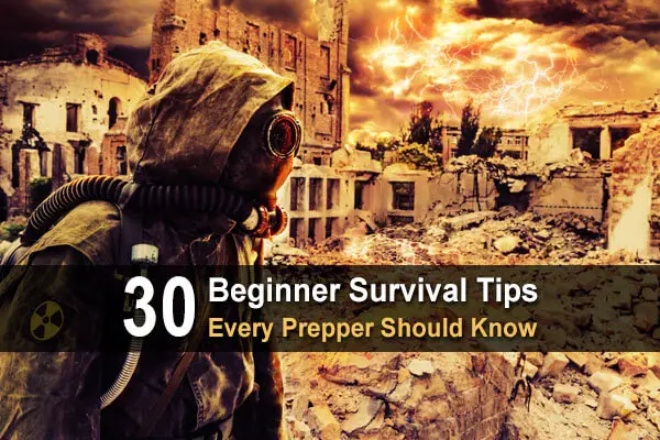 state of survival tips for beginners