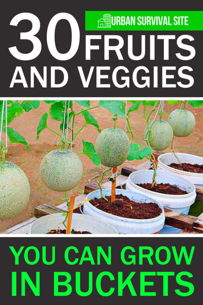 30 Fruits and Veggies You Can Grow In Buckets