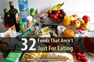 32 Foods That Aren't Just For Eating