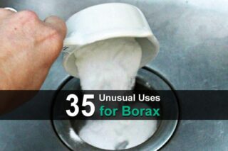 35 Unusual Uses for Borax