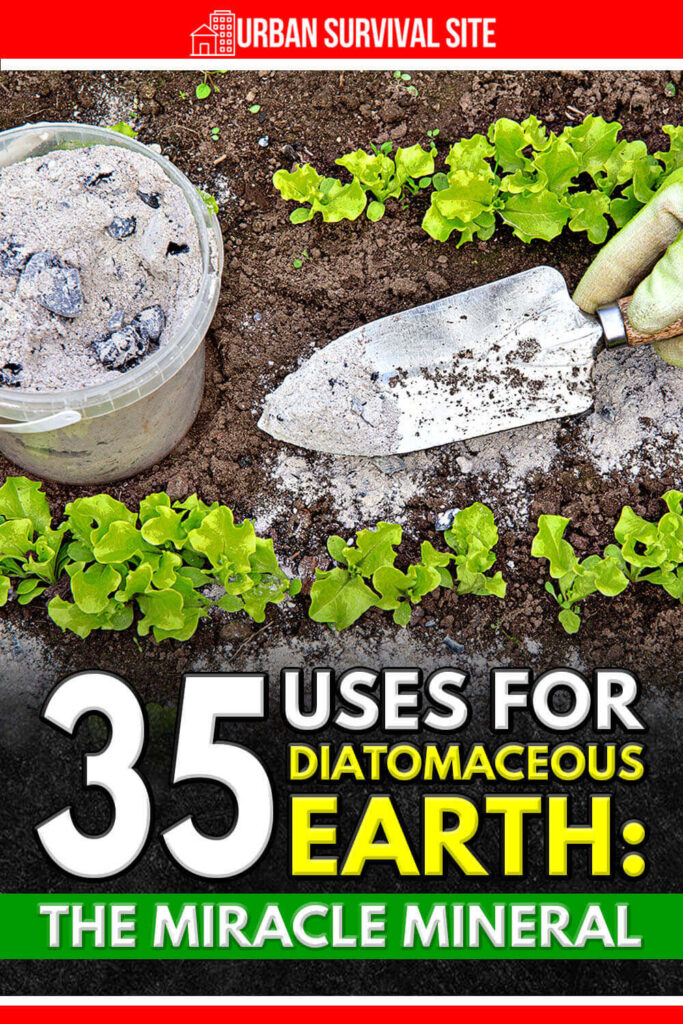 35 Uses for Diatomaceous Earth: The Miracle Mineral