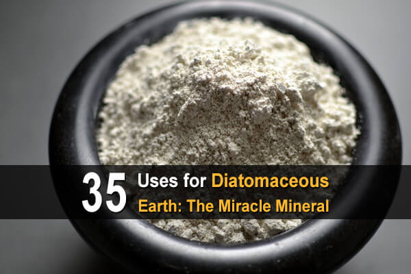 35 Uses For Diatomaceous Earth The Miracle Mineral