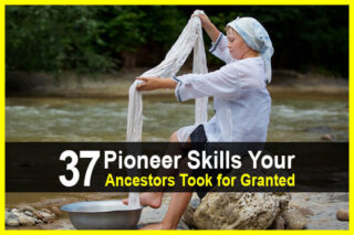 37 Pioneer Skills Your Ancestors Took for Granted