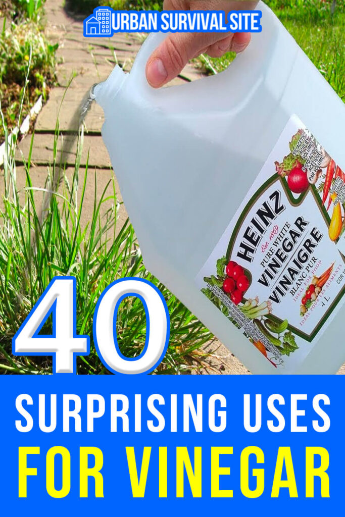 40 Surprising Uses for Vinegar