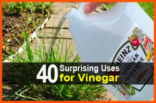 40 Surprising Uses for Vinegar