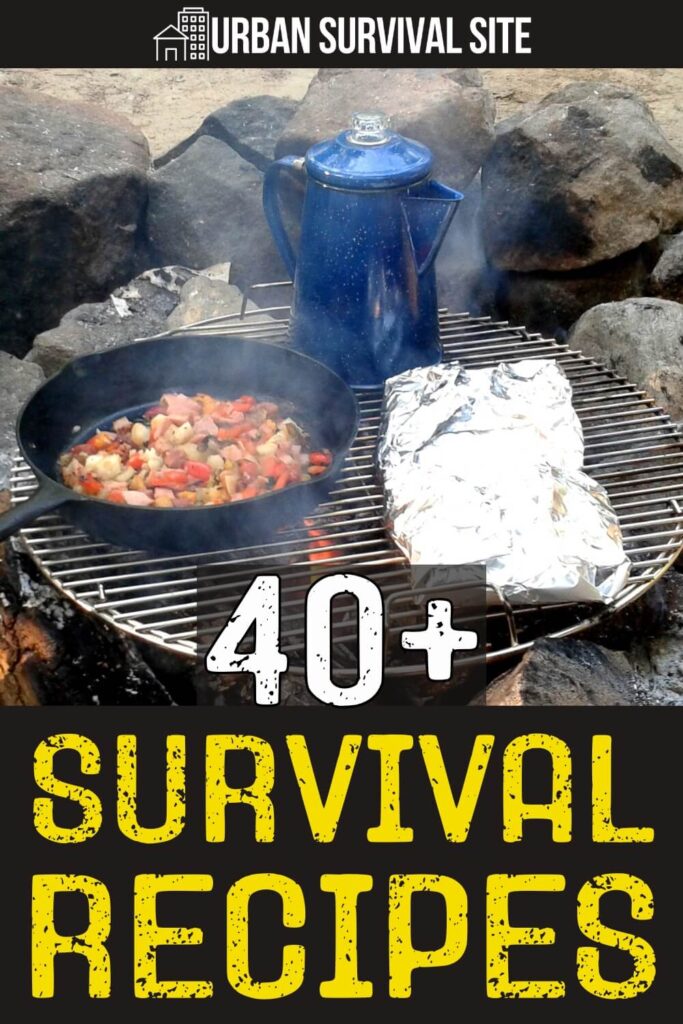 40+ Survival Recipes