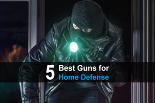 5 Best Guns For Home Defense