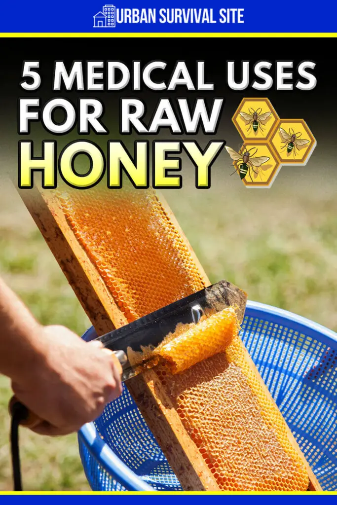 5 Medical Uses for Raw Honey Urban Survival Site