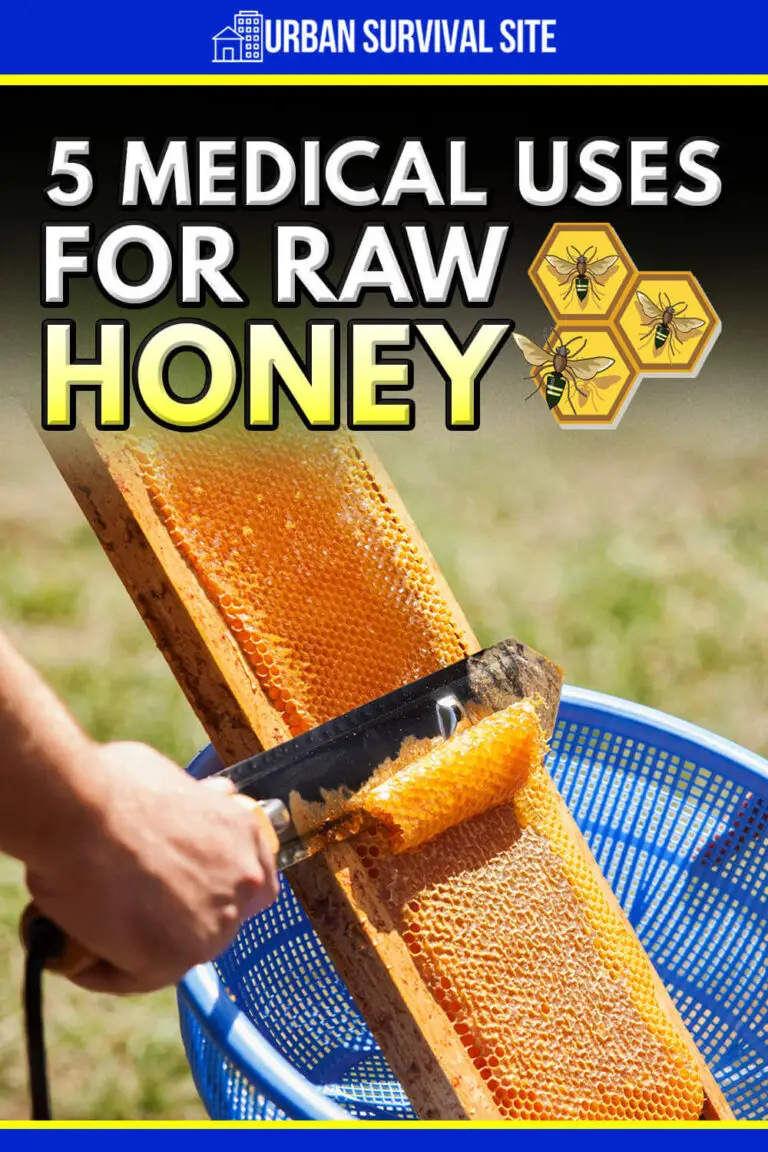5 Medical Uses for Raw Honey Urban Survival Site
