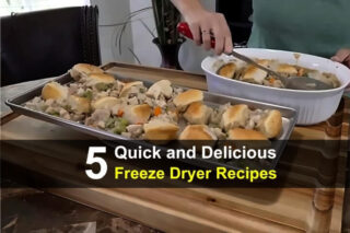 5 Quick and Delicious Freeze Dryer Recipes