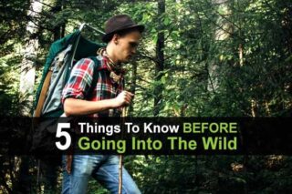 5 Things To Know BEFORE Going Into The Wild