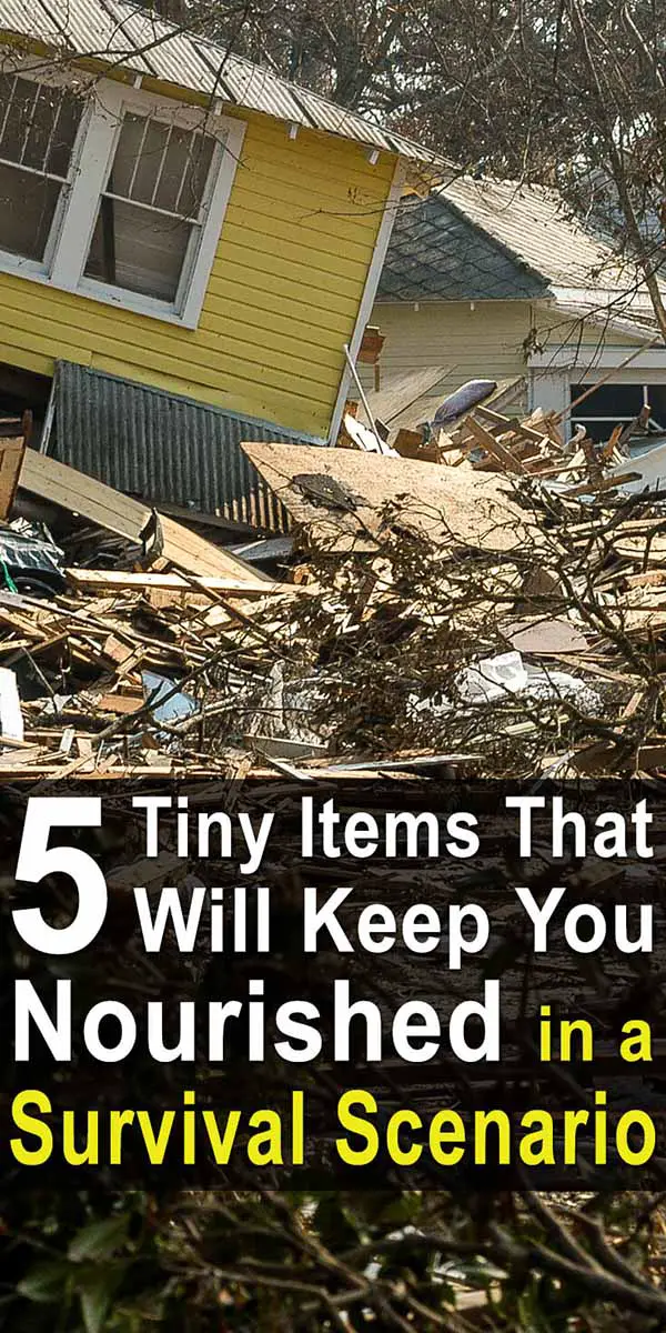 5 Tiny Items That Will Keep You Nourished in a Survival Scenario