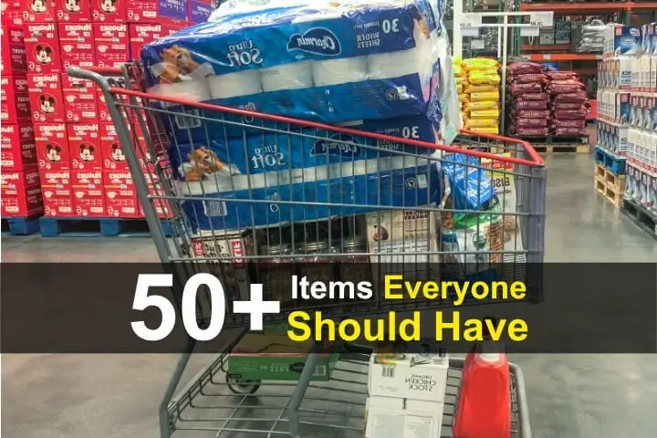 50+ Items Everyone Should Have 50+ Items Everyone Should Have