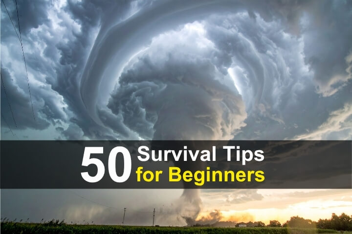 50 Survival Tips for Beginners 50 Survival Tips for Beginners
