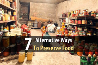 7 Alternative Ways To Preserve Food