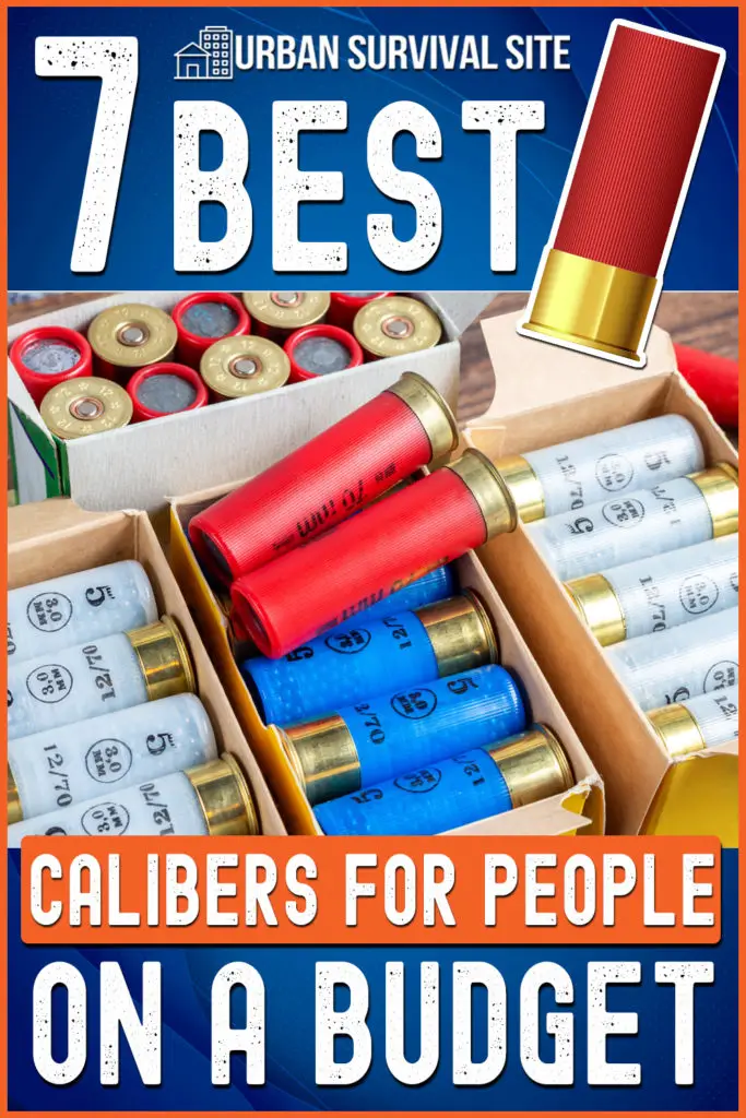 7 Best Calibers For People On A Budget