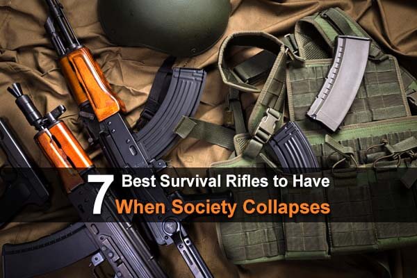 7 Best Survival Rifles To Have When Society Collapses
