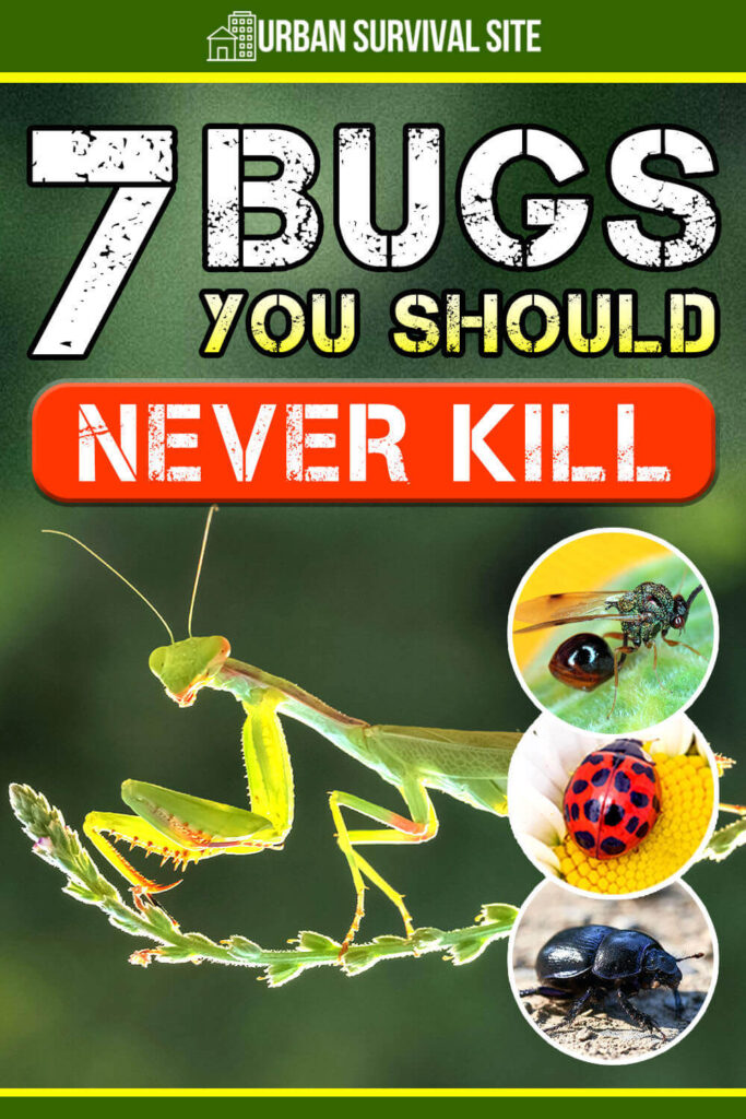 7 Bugs You Should NEVER Kill