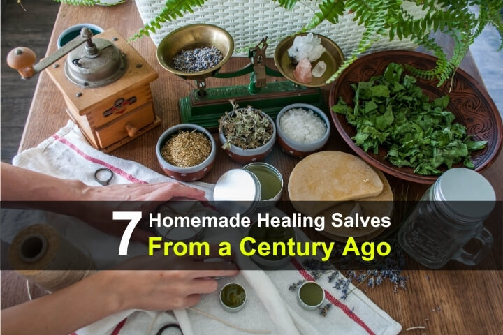 7 Homemade Healing Salves from a Century Ago