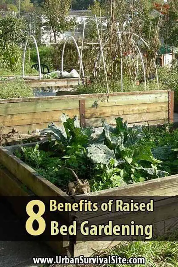 8 Benefits Of Raised Bed Gardening