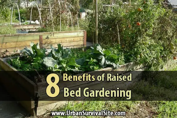 8 Benefits Of Raised Bed Gardening
